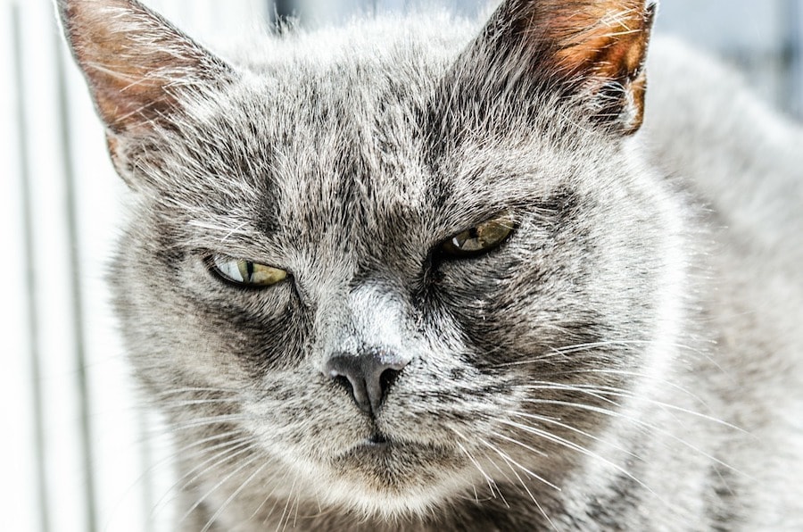 Badly designed job titles and promotions can make people angry