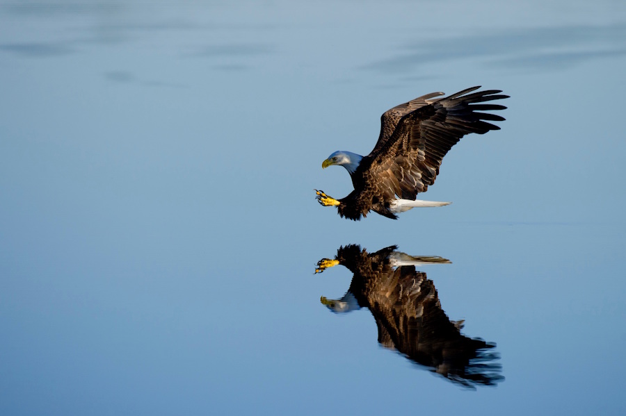Your territory is where you build up mastery